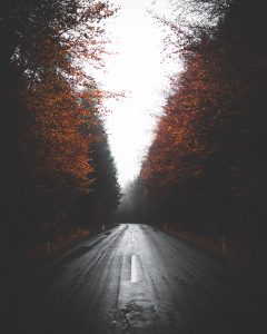 Picture of a road going through a forest
