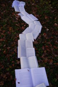 Open books lined up in a trail